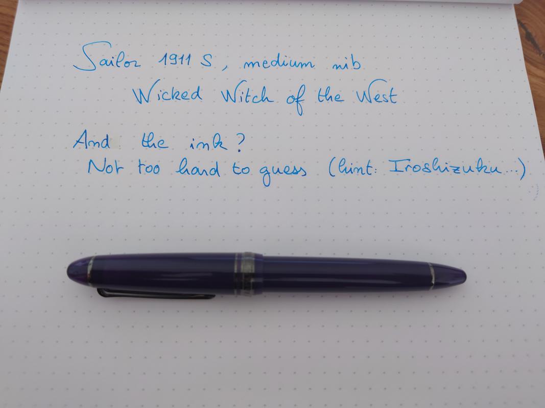 Sailor 1911S Fountain Pen - Wicked Witch of The West - Fine