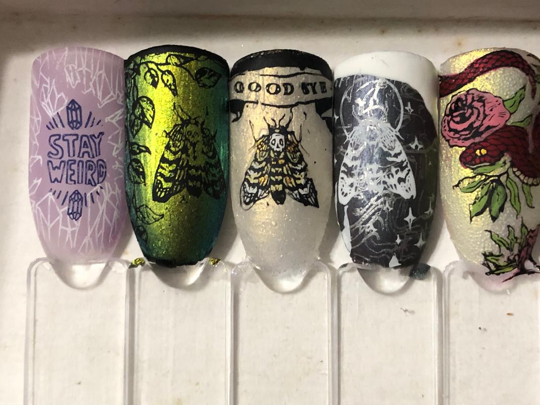 Maniology Arts: Monet's Paint Brush (M352) - Nail Stamping Plate