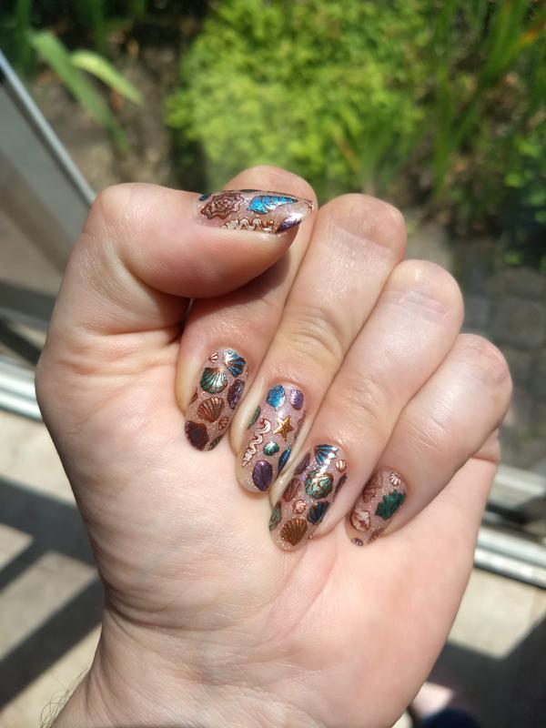 Shell Yeah! (M388) - Nail Stamping Plate – Maniology