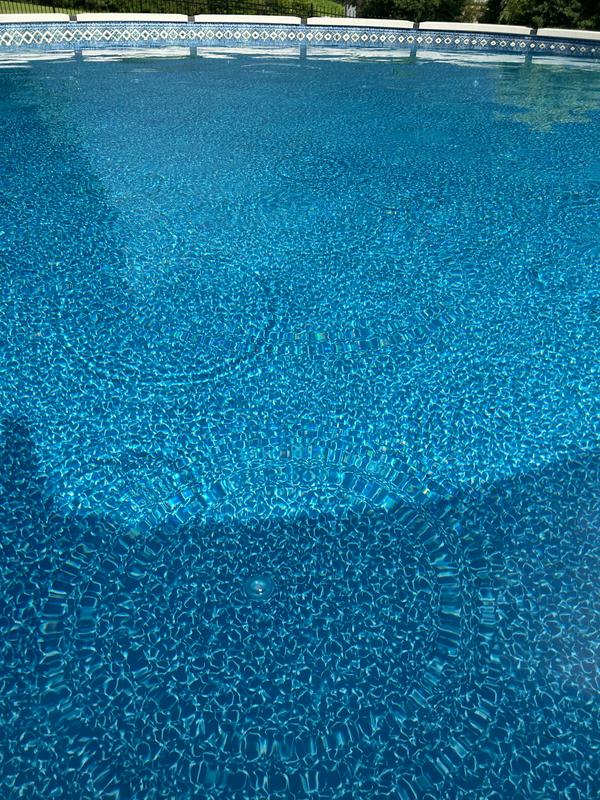 FROG® Leap Infuzer® Sanitizing System for Above Ground Pools