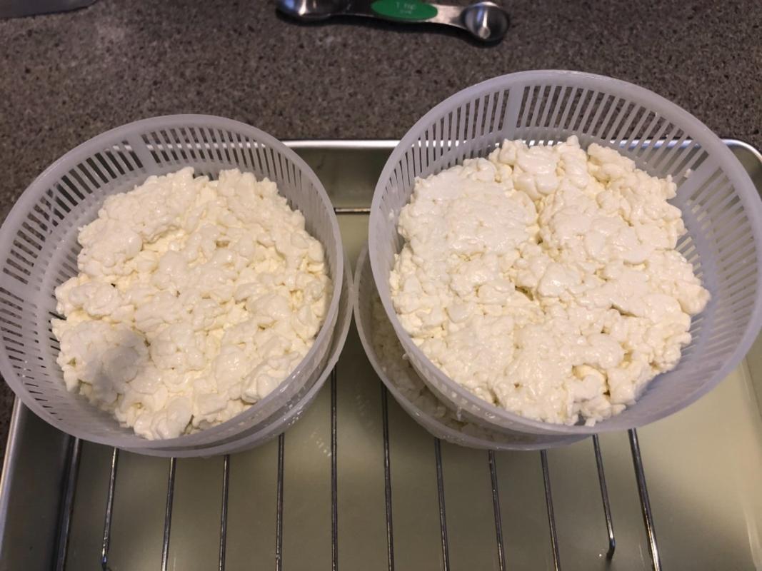 Cheese Basket Ricotta Basket Mould-10 Pack - Ricotta Mold - Draining ...