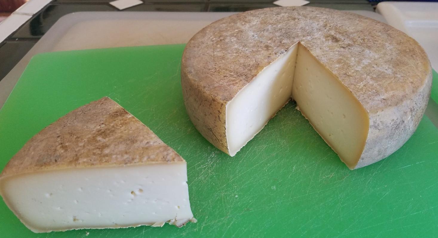 Saint Nectaire Cheese Making Recipe | Cheese Making Supply Co.
