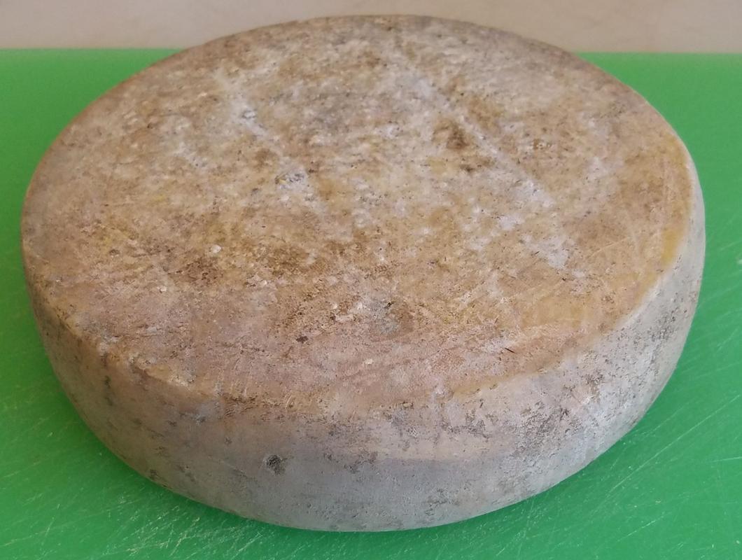 Saint Nectaire Cheese Making Recipe | Cheese Making Supply Co.