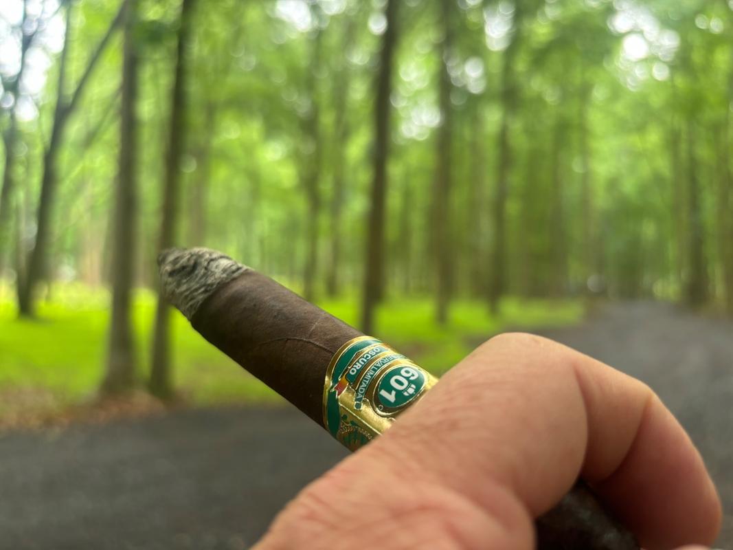 601 Habano Oscuro (Green Label) La Punta Cigars CigarPlace.com