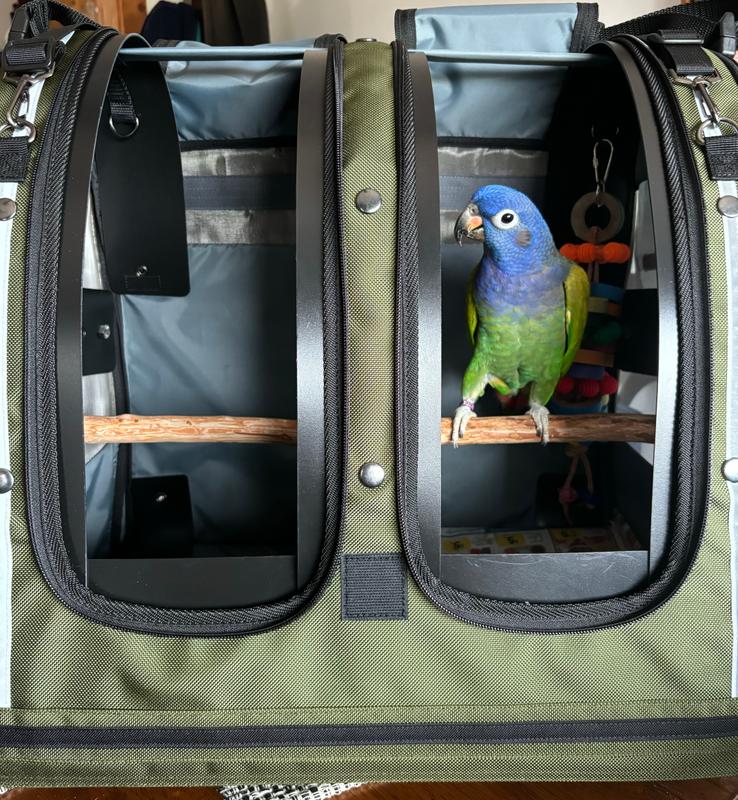Celltei Pak-o-Bird Travel Carrier - Double Medium Size
