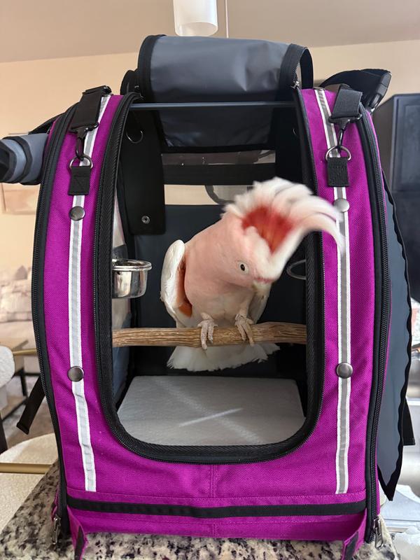 Celltei Pak-o-Bird Travel Carrier - Medium Size - Made in USA