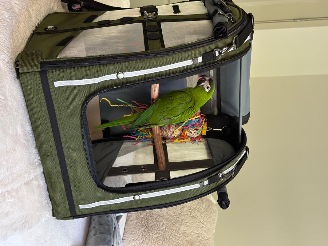 Celltei Pak-o-Bird Travel Carrier - Medium Size - Made in USA