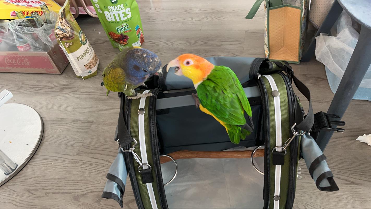 Celltei Pak-o-Bird Travel Carrier - Small Size - Made in USA