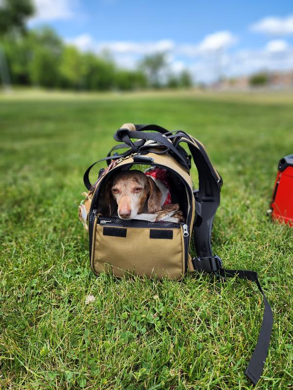 Celltei Backpack-o-pet, the best structured backpack for small dog