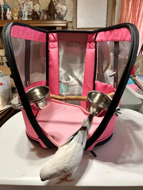 Celltei Birdie GoGo Travel Carrier - XS Size - Made in USA