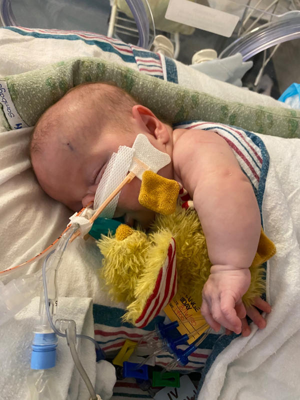 Clucky Little the Little Chick | Stuffed Farm Animal