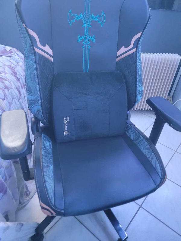 Secretlab Lumbar Pillow Pro Secretlab MY