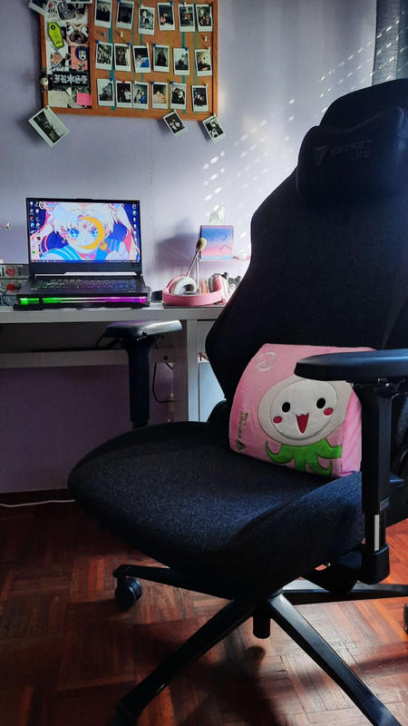 Secretlab Memory Foam Lumbar Pillow - Overwatch Pachimari Edition