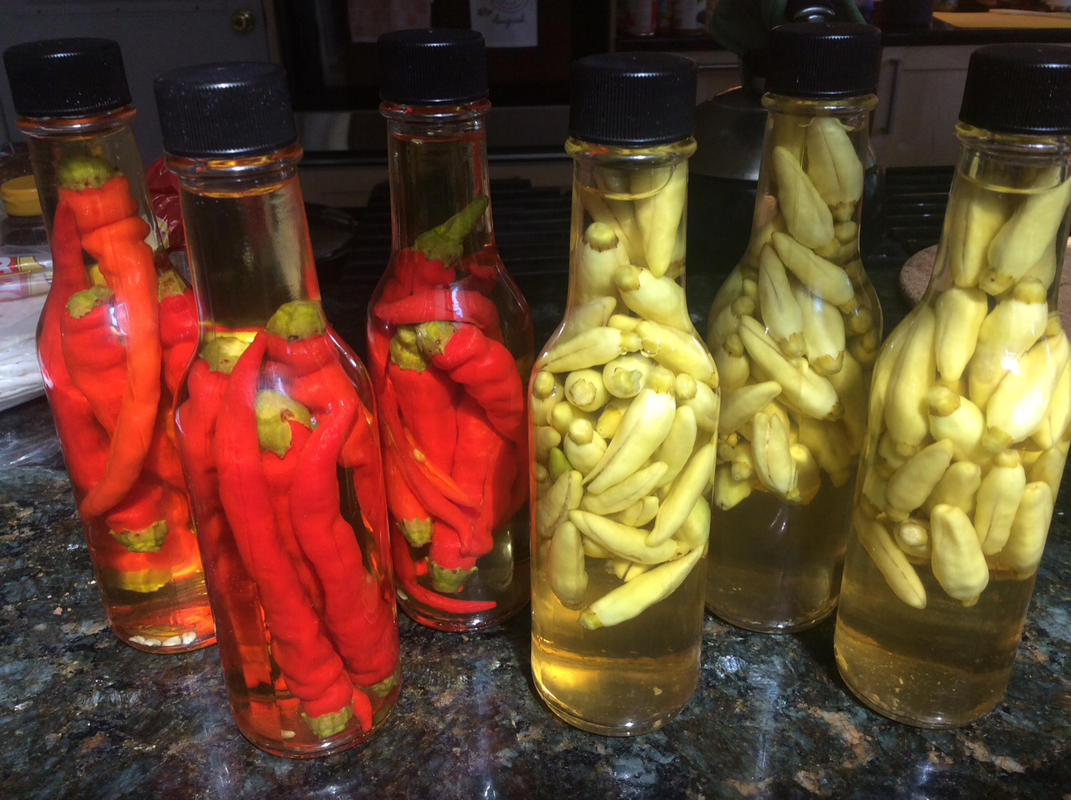Botellas Woozy de salsa picante vacías de 5 onzas, juegos completos de  botellas de vidrio transparente de grado comercial de alta calidad con  cápsula