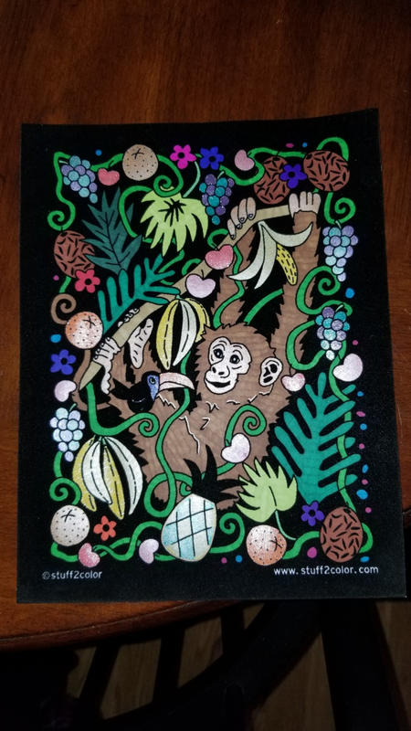 Monkey, Parrot, Tiger, Koala, Gecko, Elephant - 6 Pack - Stuff2Color