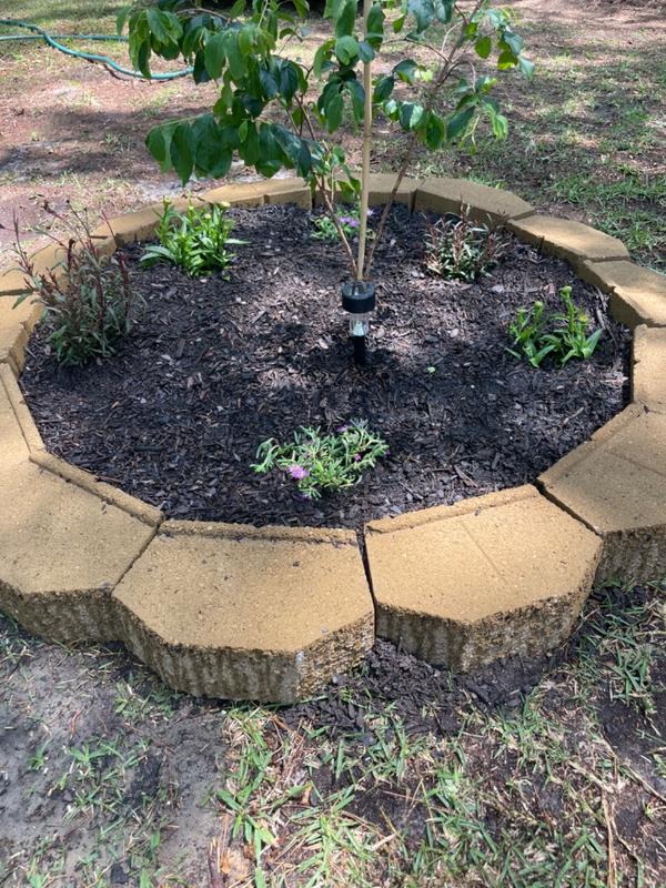 Lilac Urn, Lilac Cremation, Flowering Shrub Memorial — The Living Urn