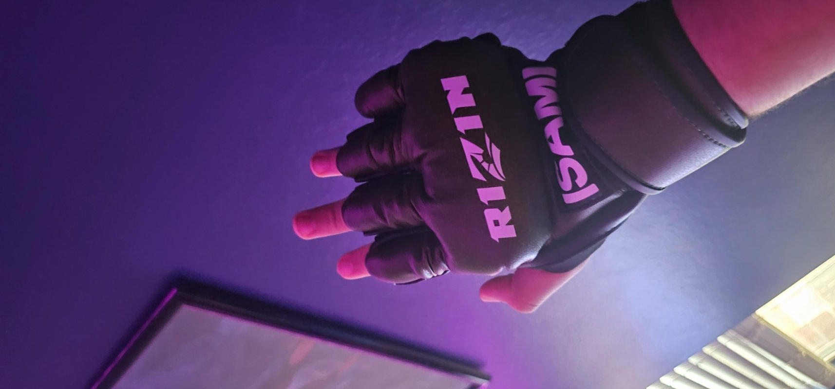 Official Rizin MMA Tournament Gloves from Japan