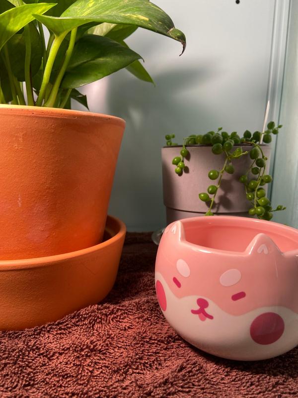 Shiba Planter – Shopzoki