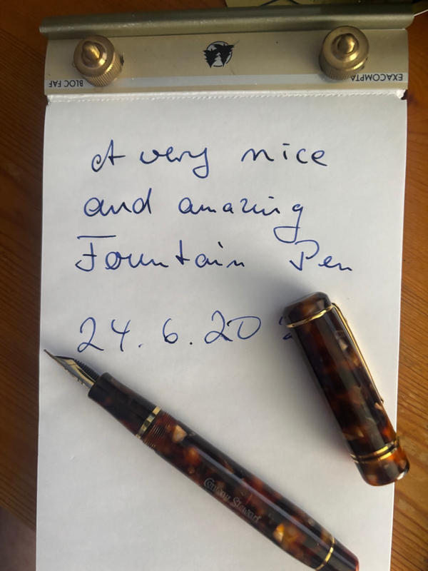 Winston Classic Brown Fountain Pen