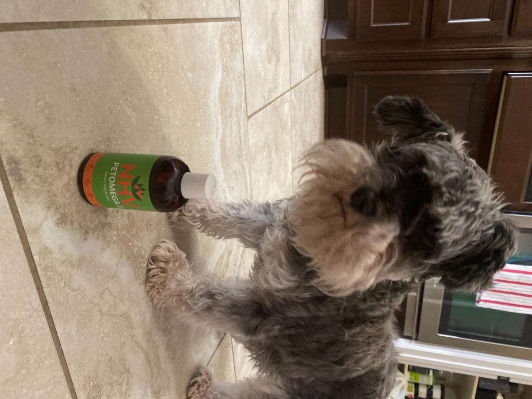 Cat and Dog Heart Health Supplements NHV Natural Pet