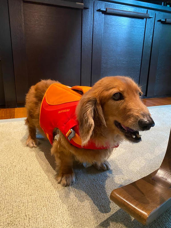 Ruffwear Float Coat Dog Life Jacket