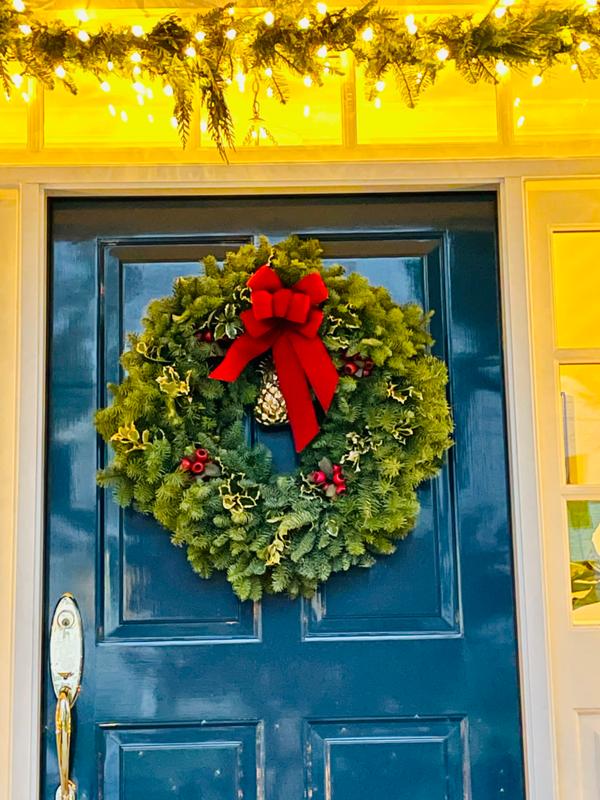 Touch of Holly – Lynch Creek Farm