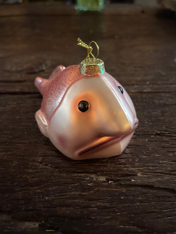 Sunny The Happy Blobfish - Unique Gifts - Archie McPhee — Perpetual Kid