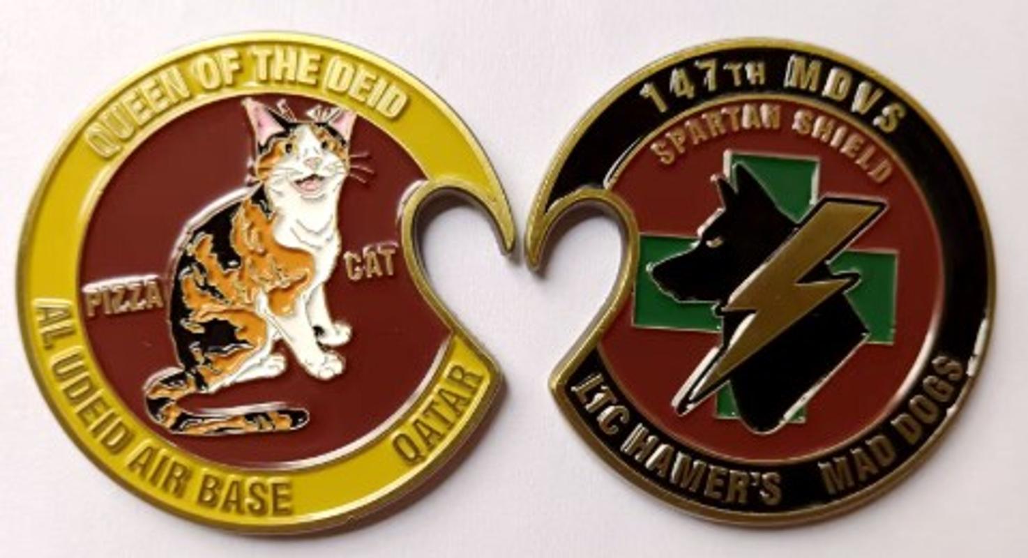 510 FS Patch | 510th Fighter Squadron Patches