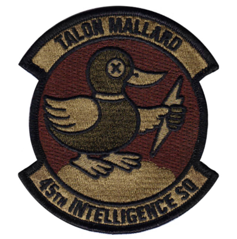 アトランティックイーグルス パッチ 15 EAS Global Eagles OCP Patch | 15th Expeditionary Airlift
