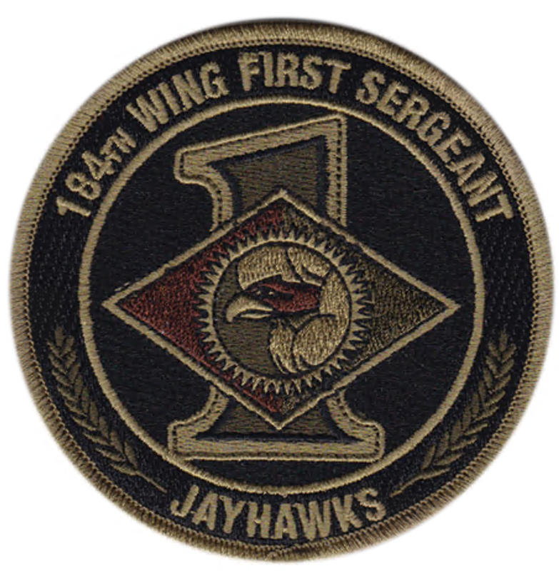 F-35 Demo Team OCP Patch | F-35A Lightning II Demonstration Team