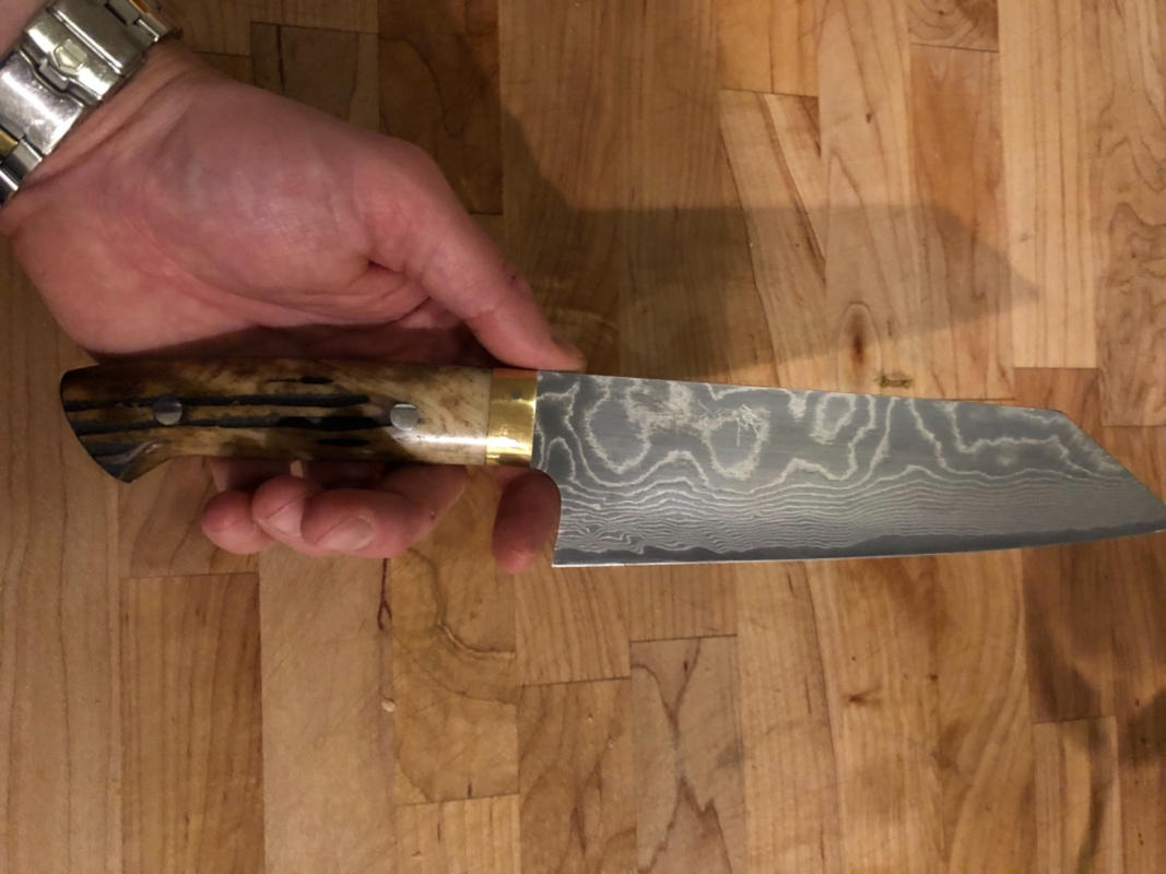 Takeshi Saji VG-10 Custom Damascus Wild Series Gyuto (180mm to 270mm, 4  sizes, Stag Bone Handle)