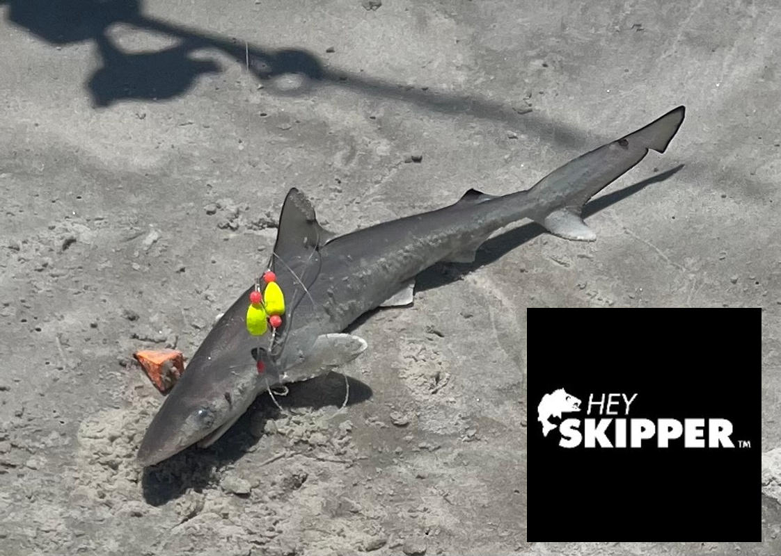 Pyramid Sinkers- Vibrant Orange- Beach Fishing Sinkers – Hey Skipper