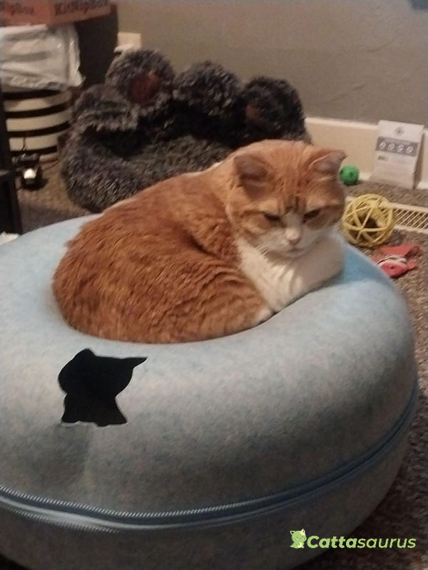 Cosy calming cat blanket online