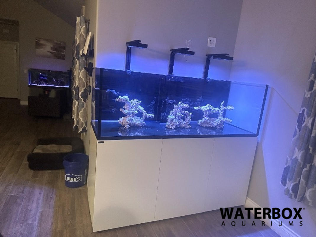Hydra 32HD Hydra 32HD