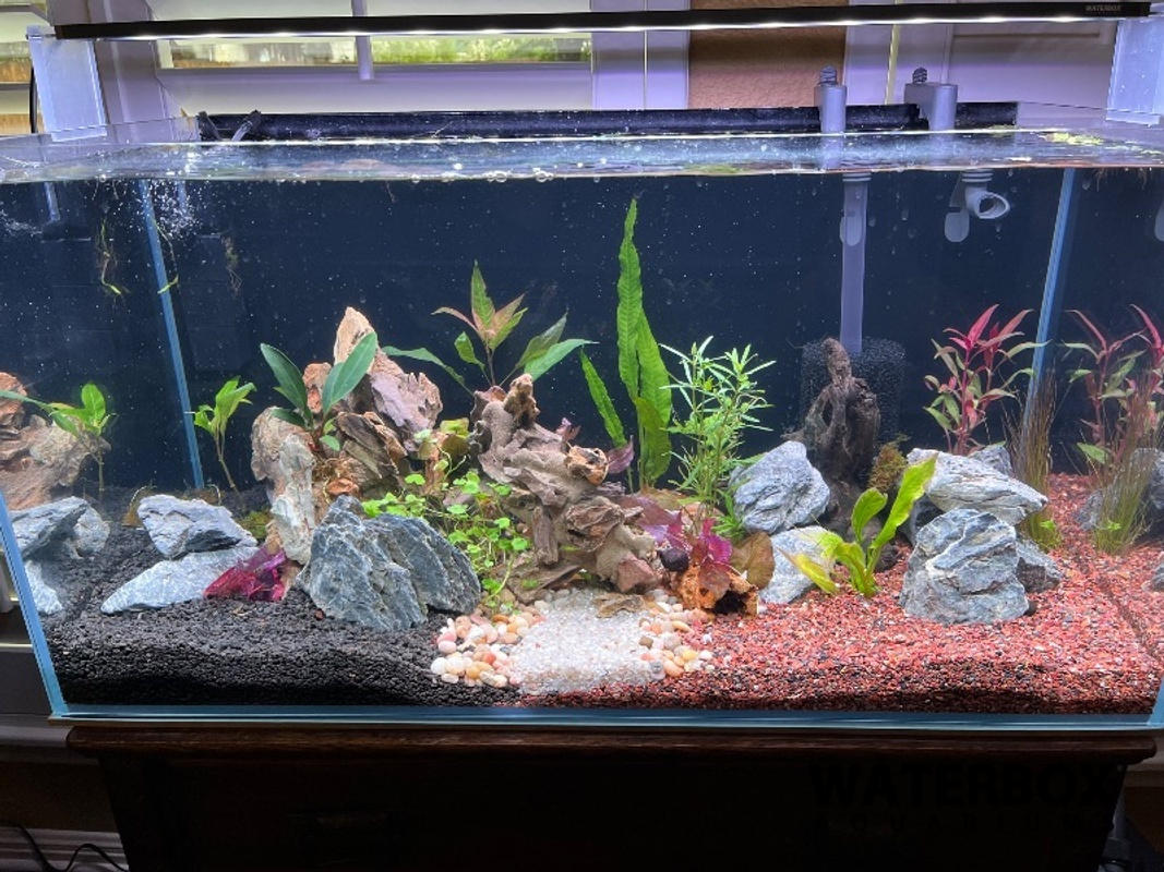 Freshwater Aquarium Rock Decorations