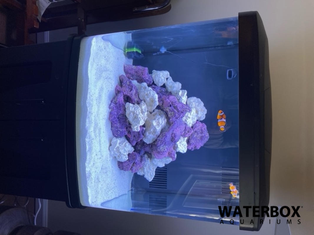 Nano reef tank kit store