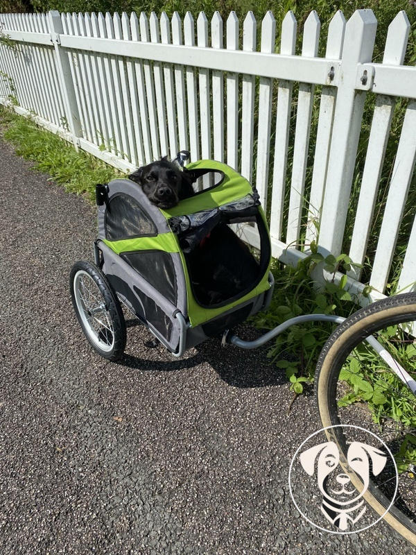 DoggyRide Mini Dog Bike Trailer Green Free UK Shipping