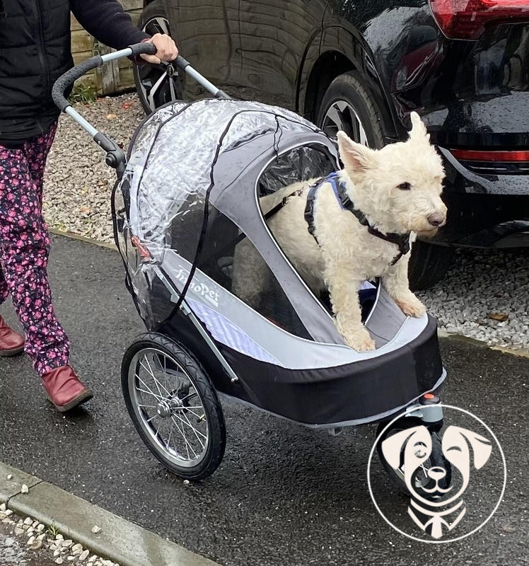 Innopet sporty dog trailer uk 2025