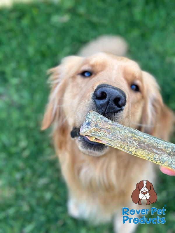 Bone Marrow Chews Healthy Chews For Dogs Nutrient Rich Rover Pet Products