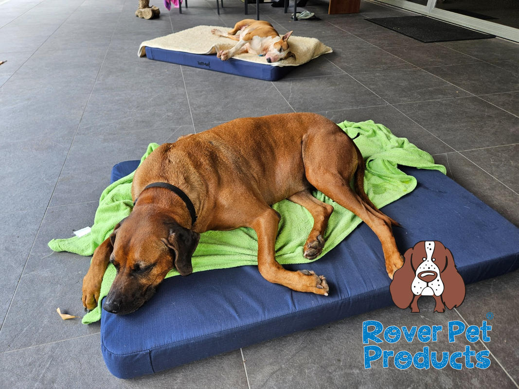 Pet Supplies Absolut Pet Soothing Bed Absolut Soothing Bed For