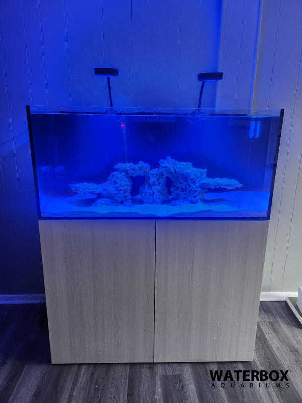Awesome 90 gallon aquarium - complete setup 