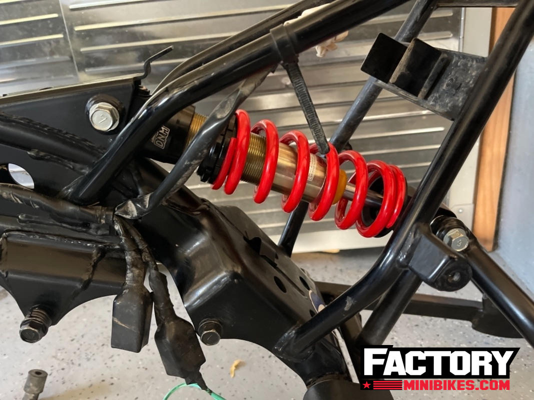 Dnm coil shock review sales