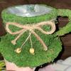 real user review Set of 2 | Green Teacup Preserved Moss With Twine Planter Boxes, Flower Baskets - 5