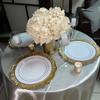 real user review 6 Pack Gold Round Reef Acrylic Plastic Charger Plates, Dinner Charger Plates 13