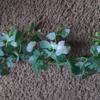 real user review 6ft | 20 Cream Artificial Silk Roses Flower Garland, Hanging Vine