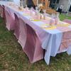 real user review Blush / Rose Gold Spandex Stretch Folding Chair Cover, Fitted Chair Cover with Metallic Shimmer Tinsel Back