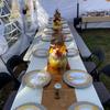 real user review 10 Pack White Hammered Design Plastic Dinner Plates With Gold Rim 10