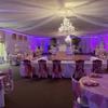 real user review Shiny Metallic Blush/Rose Gold Spandex Banquet Chair Cover, Glittering Premium Fitted Chair Cover
