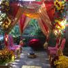 real user review 10ft 4-Post Gold Metal DIY Photography Backdrop Stand, Wedding Arch Canopy Tent