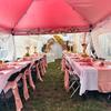 real user review 5 Pack Dusty Rose Satin Chair Sashes 6